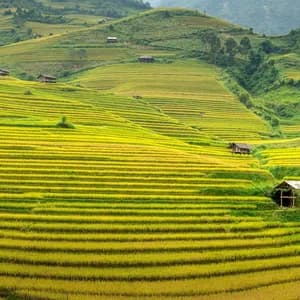 meetup-sapa-10