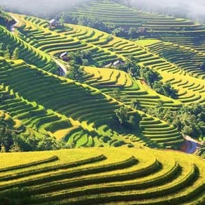meetup-mu-cang-chai-41