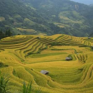 meetup-mu-cang-chai-43