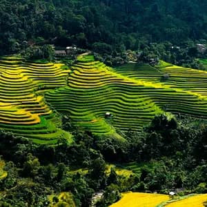 meetup-mu-cang-chai-42