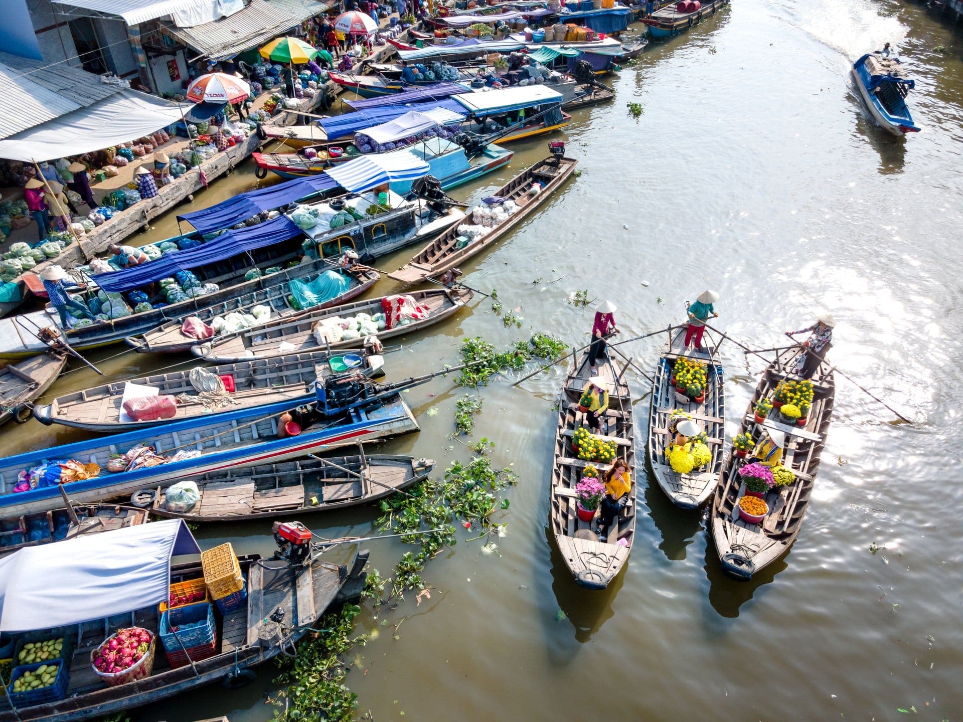 North to South Vietnam - 6 Days